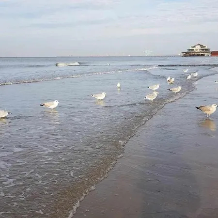 아파트 Bonheur 블랑켄베르크