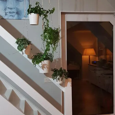 Bonheur 블랑켄베르크